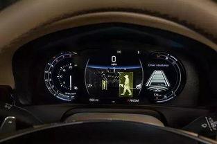 吃瓜青年开车,吃瓜青年驾车奇遇记 第2张 吃瓜青年开车,吃瓜青年驾车奇遇记 第2张