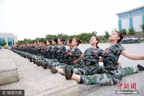 每日聪慧吃瓜军训舞蹈 第2张 每日聪慧吃瓜军训舞蹈 第2张