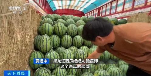 进群吃瓜系统  第2张