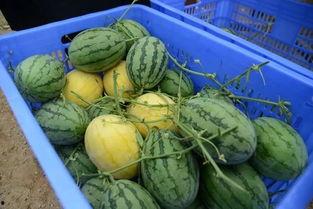 进群吃瓜系统  第3张