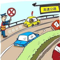 吃瓜吃两口就丢,弃之再寻新  第2张