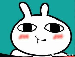 吃瓜吃两口就丢,弃之再寻新  第3张