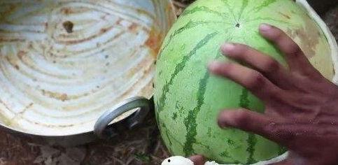 网红最新吃瓜,揭秘娱乐圈幕后真相 第3张 网红最新吃瓜,揭秘娱乐圈幕后真相 第3张