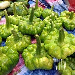 云南吃瓜叶视频,揭秘当地独特饮食习惯 第2张 云南吃瓜叶视频,揭秘当地独特饮食习惯 第2张