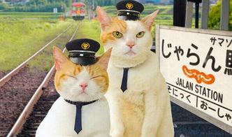 叮叮喵dxy吃瓜,揭秘娱乐圈那些不为人知的幕后故事 第2张 叮叮喵dxy吃瓜,揭秘娱乐圈那些不为人知的幕后故事 第2张