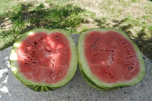 梦见卖瓜吃,瓜田里的买卖与味蕾的诱惑  第2张