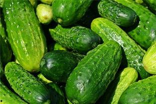 梦见卖瓜吃,瓜田里的买卖与味蕾的诱惑  第3张