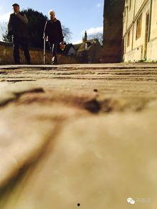 前线吃瓜群众,揭秘战地风云中的幕后故事  第3张