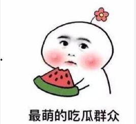 吃瓜群众陈小妹,揭秘吃瓜群众的趣味生活  第3张