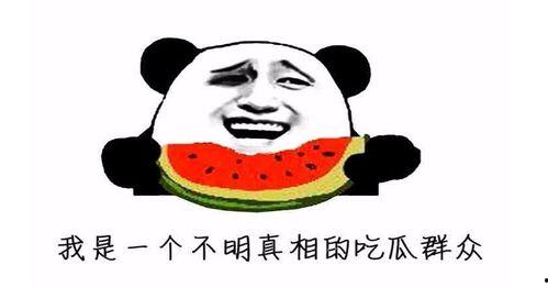 吃瓜大胖,揭秘娱乐圈的“瓜田”趣事