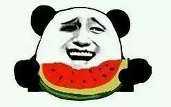 吃瓜大胖,揭秘娱乐圈的“瓜田”趣事 第2张 吃瓜大胖,揭秘娱乐圈的“瓜田”趣事 第2张