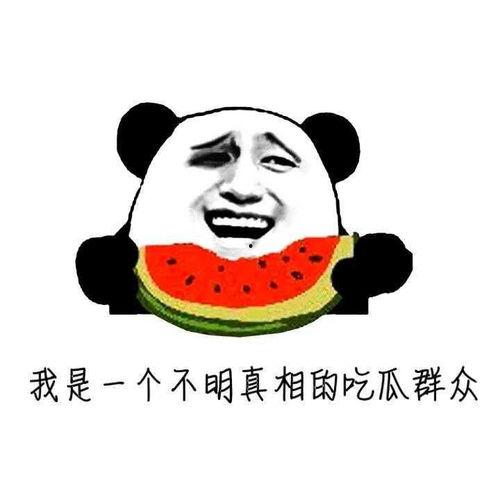 吃瓜大胖,揭秘娱乐圈的“瓜田”趣事 第3张 吃瓜大胖,揭秘娱乐圈的“瓜田”趣事 第3张