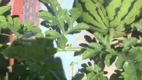 吃瓜软件燕山大学,吃瓜软件中的青春风采 第2张 吃瓜软件燕山大学,吃瓜软件中的青春风采 第2张