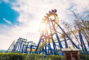 杭州乐园互动吃瓜,趣味体验新潮流