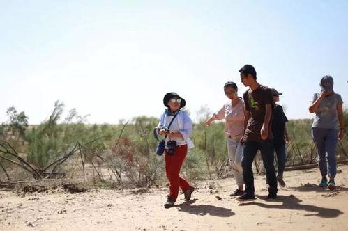 农村吃瓜的情景