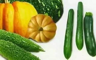 夏星夜吃瓜,揭秘娱乐圈背后的那些事儿