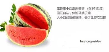 频道吃瓜中心,吃瓜中心带你领略明星幕后故事