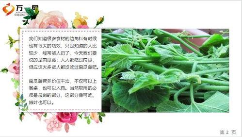 吃瓜ppt 65页,揭秘娱乐圈幕后真相