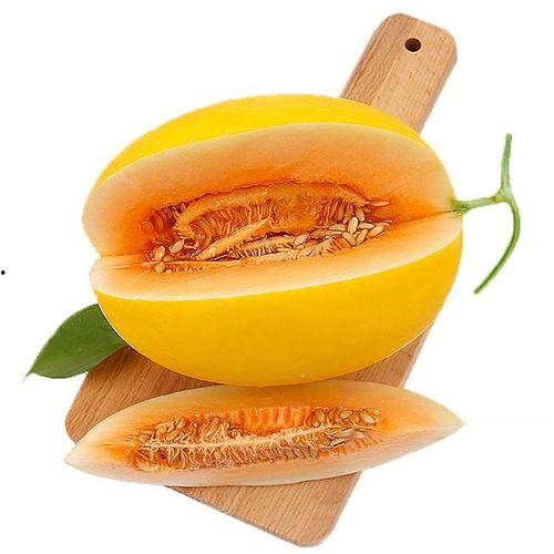 吃鸭货吃蜜瓜吐了,鸭货蜜瓜引发呕吐之旅