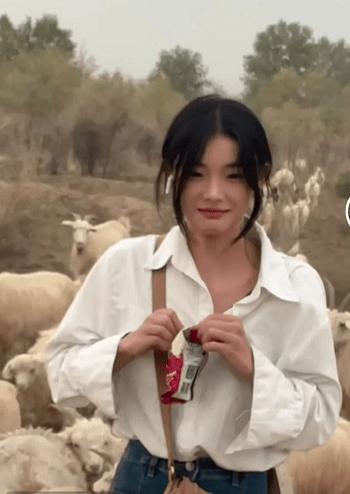 惠然吃瓜视频,揭秘娱乐圈幕后故事