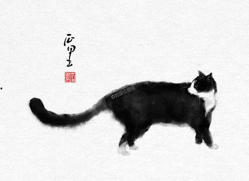 吃瓜看戏撸猫,悠哉撸猫度日