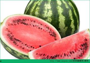 瓜胃炎可以吃吗,哪些食物可以吃