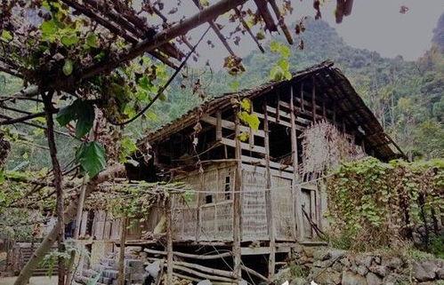 吃瓜道士,探寻神秘宗教与世俗生活的奇妙交融