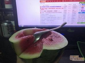 吃瓜的含义图解