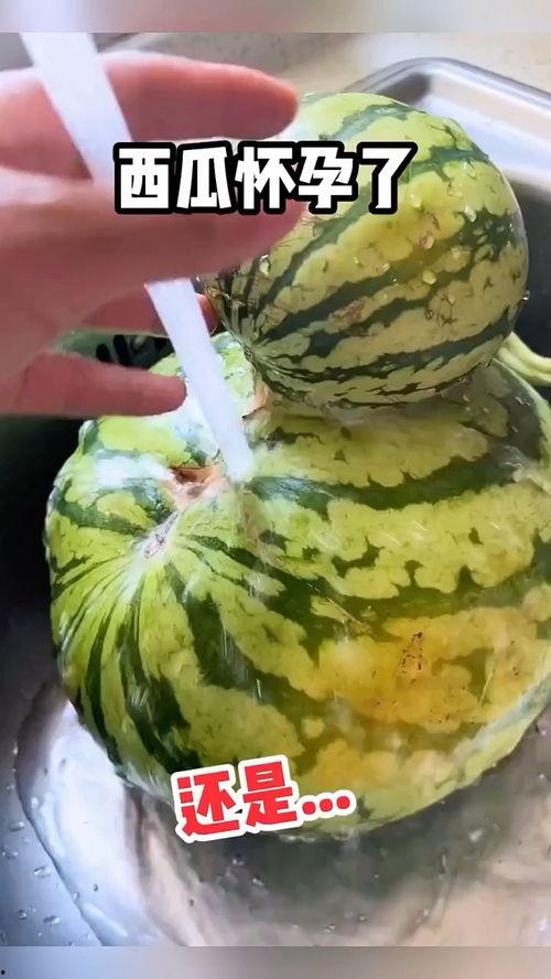 搞笑对话吃瓜视频
