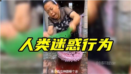 人类迷惑吃瓜行为