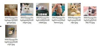 分享吃瓜照片的软件,揭秘热门吃瓜照片分享软件